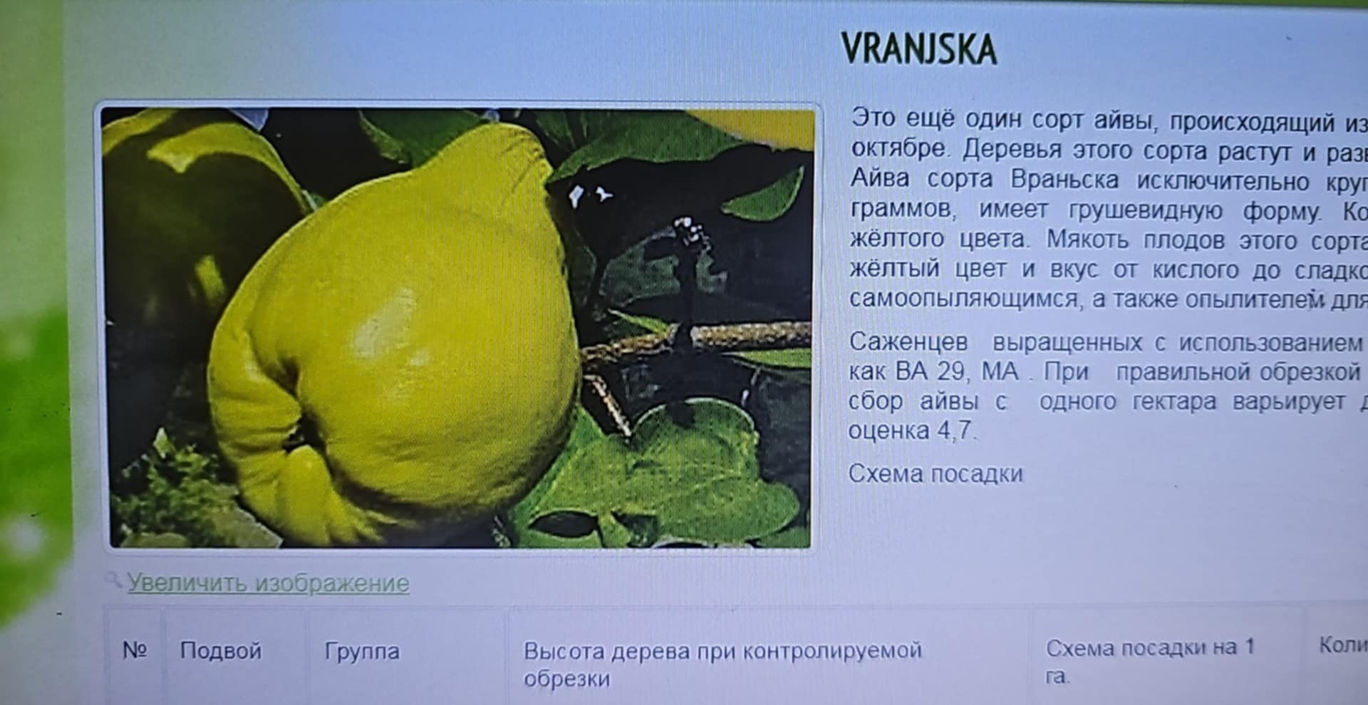 Vranjska — კომში